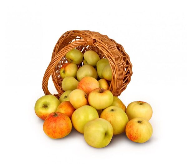 Fruit basket - Image 2